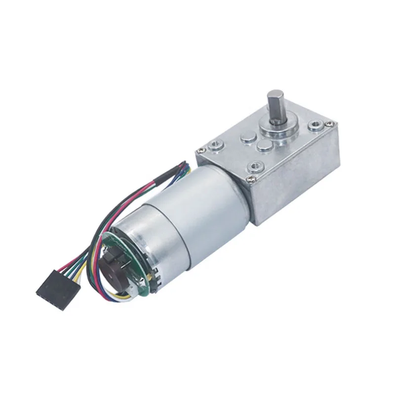 5840-555 DC Turbine Worm Motor with Hall Encoder Speed Measurement Signal Feedback Self-locking High Torque Metal Gear Motor 12V