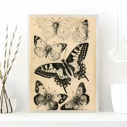 Black White Dark Butterfly Moth Poster art painting sticker with prints Home bedroom living room decoration gift - Image 9