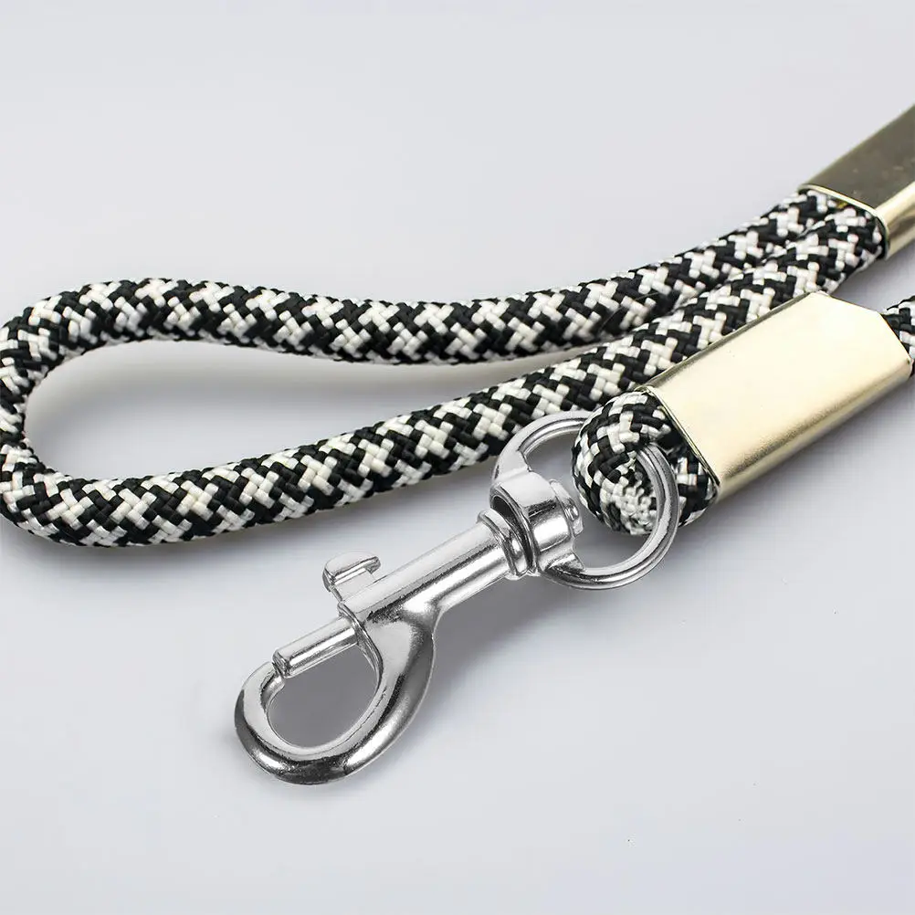 10Pcs Exquisite Electroplated Swivel Snap Hooks Stainless Steel Dog Leash Clips Multi Use for Ropes Chains Collars Keychains