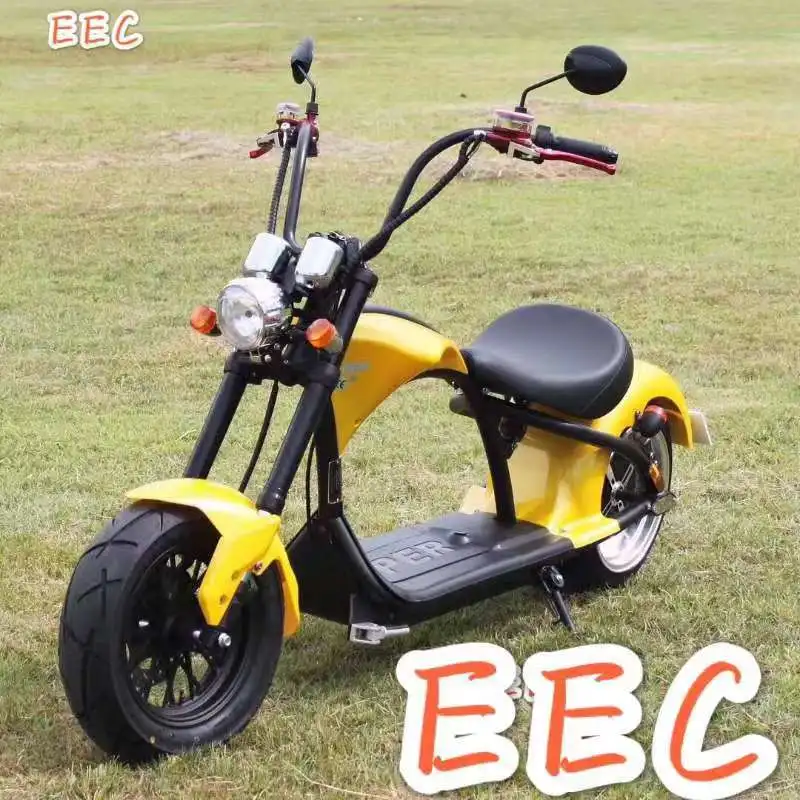New Electric Motorcycle 4000W60V20AH Off-road Mountain Snow Electric Vehicle 12-inch Fat Tire Adult Two-seater Electric Scooter