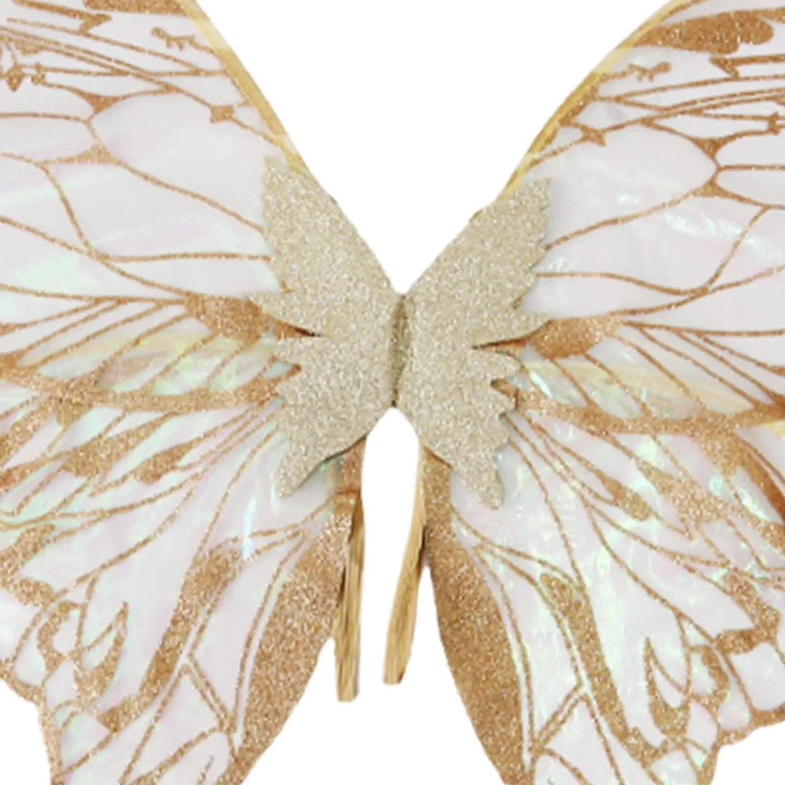 어린이 성인을위한 나비 날개 꿈 같은 공주 날개 파티 역할 놀이를위한 요정 날개 무대 공연 생일 카니발