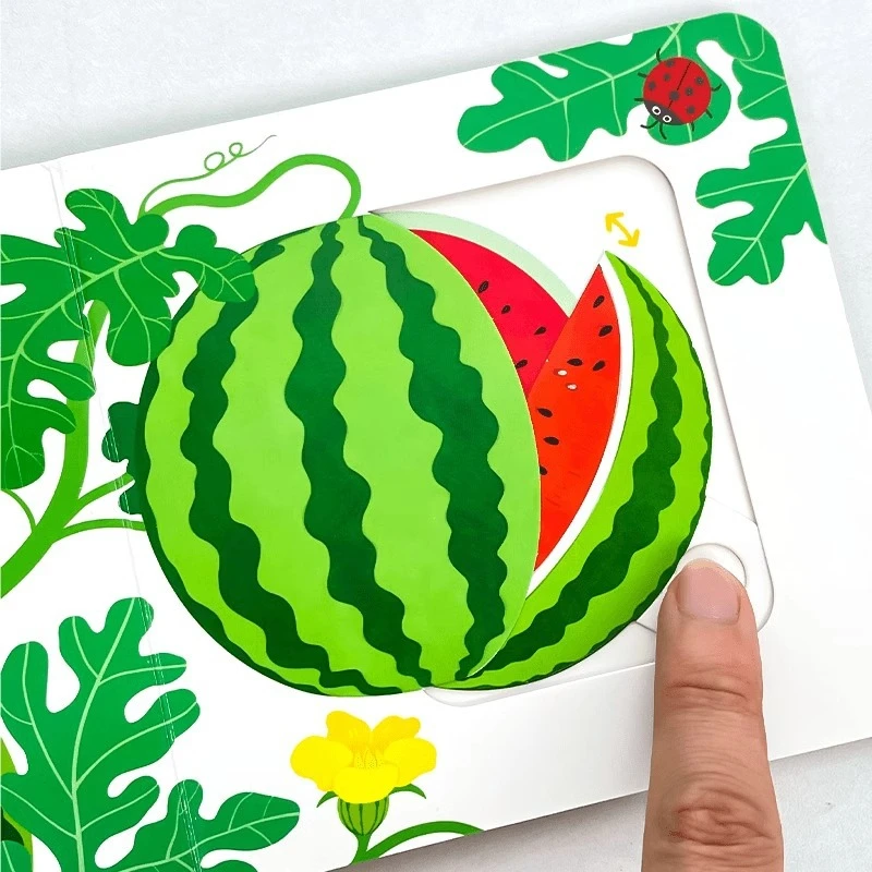Fun Hole Pull Flip Book Children's Cognitive Push And Pull Book Baby Enlightenment Early Education Picture Book Touch