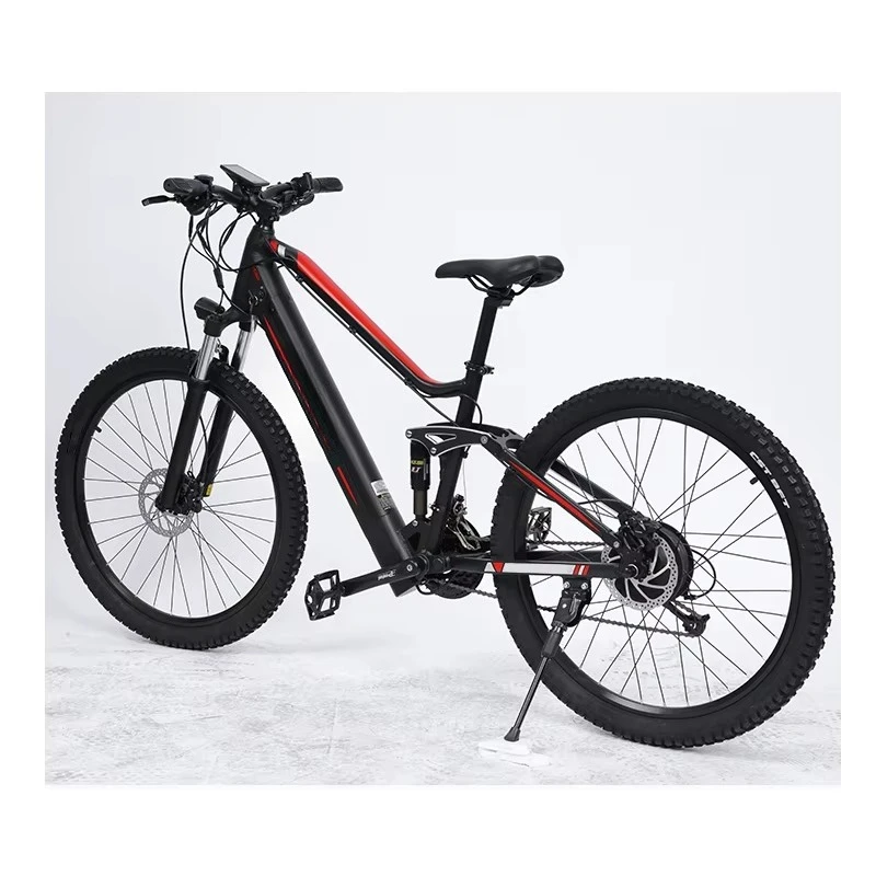 EER Electric adult electric ,   48v mountain , mountain electric bicycle