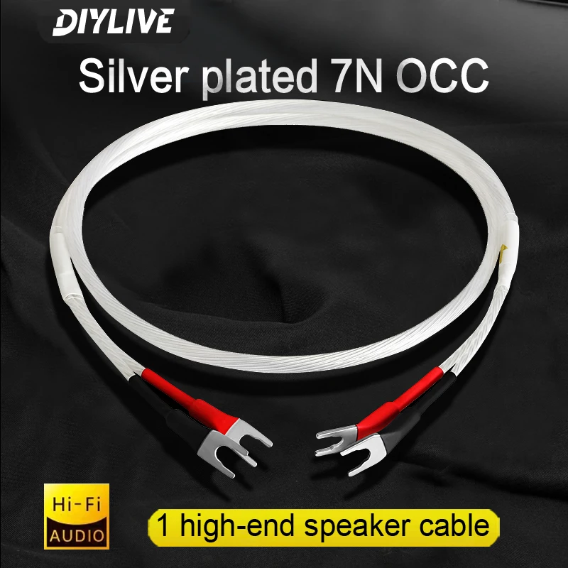 One Pair HIFI Silver-plated Speaker Cable High-end 5N OCC Speaker Wire For Hi-fi Systems Y Plug Banana plug Speaker Cable