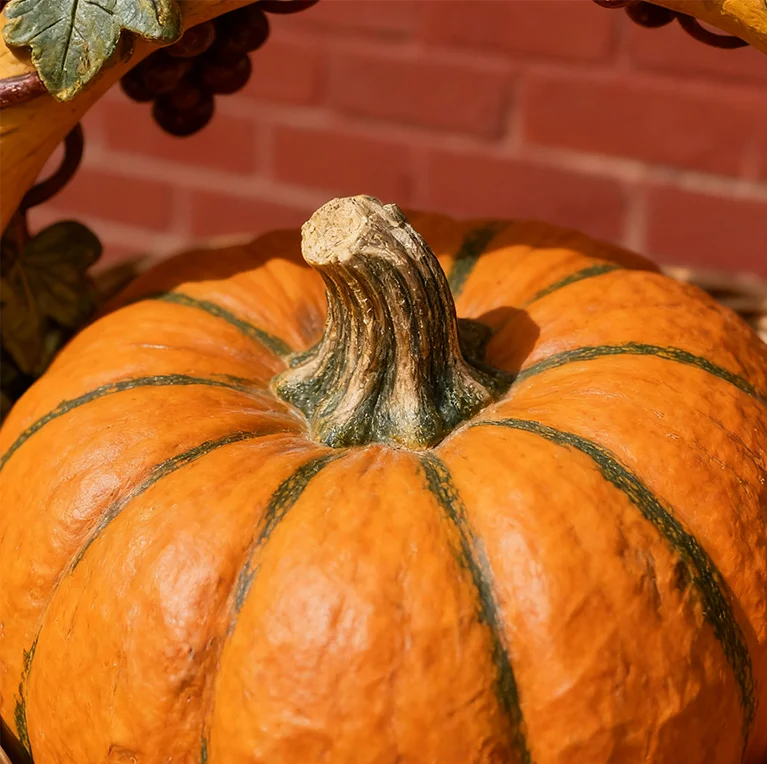 Ornamentos de Natal Presentes de fibra de vidro Mobiliário doméstico Grande cesta de frutas de resina