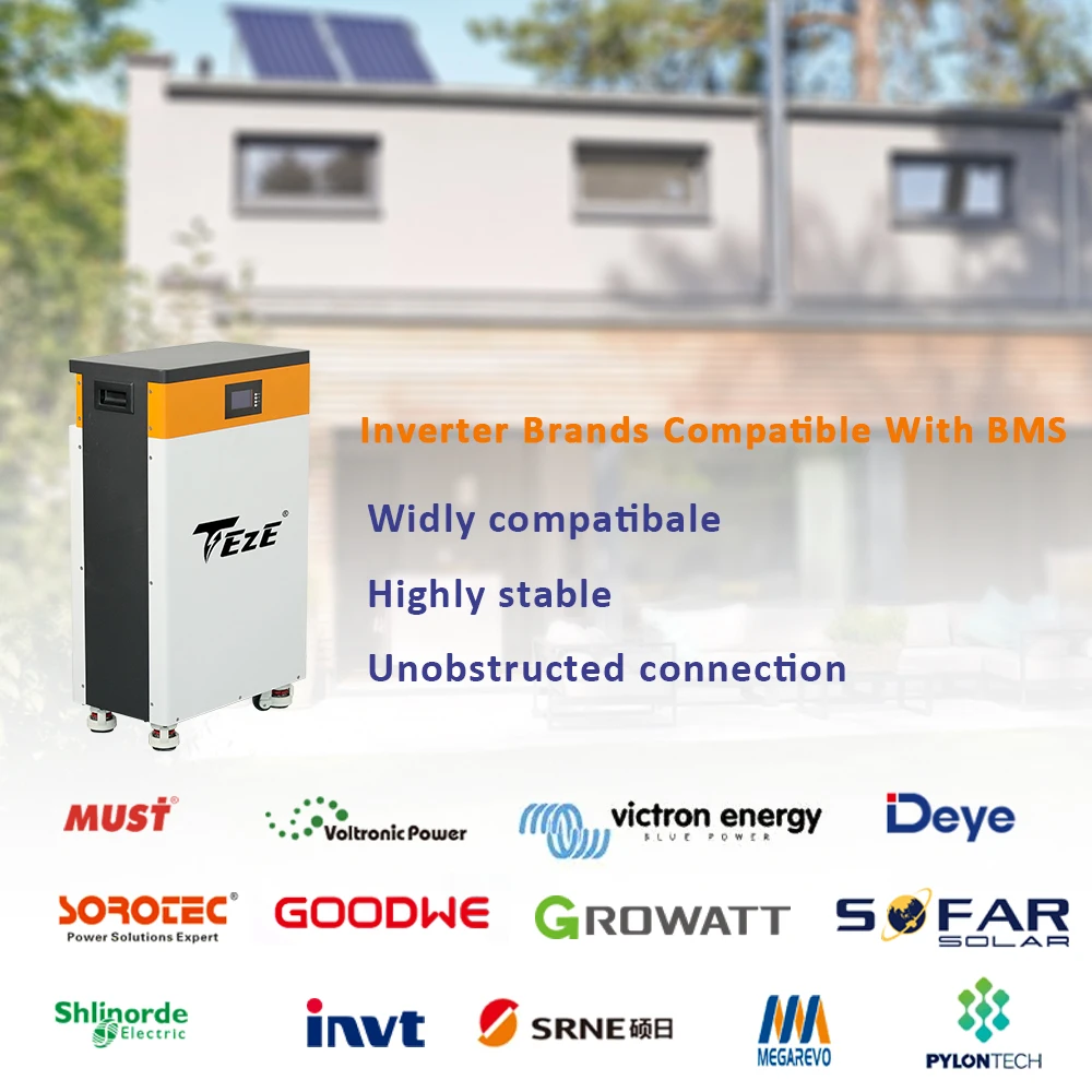 TEZE 48V/51.2V 280Ah LiFePO4 Batteria 15KWH Powerwall BMS ESS integrato Sistema di accumulo solare per energia domestica