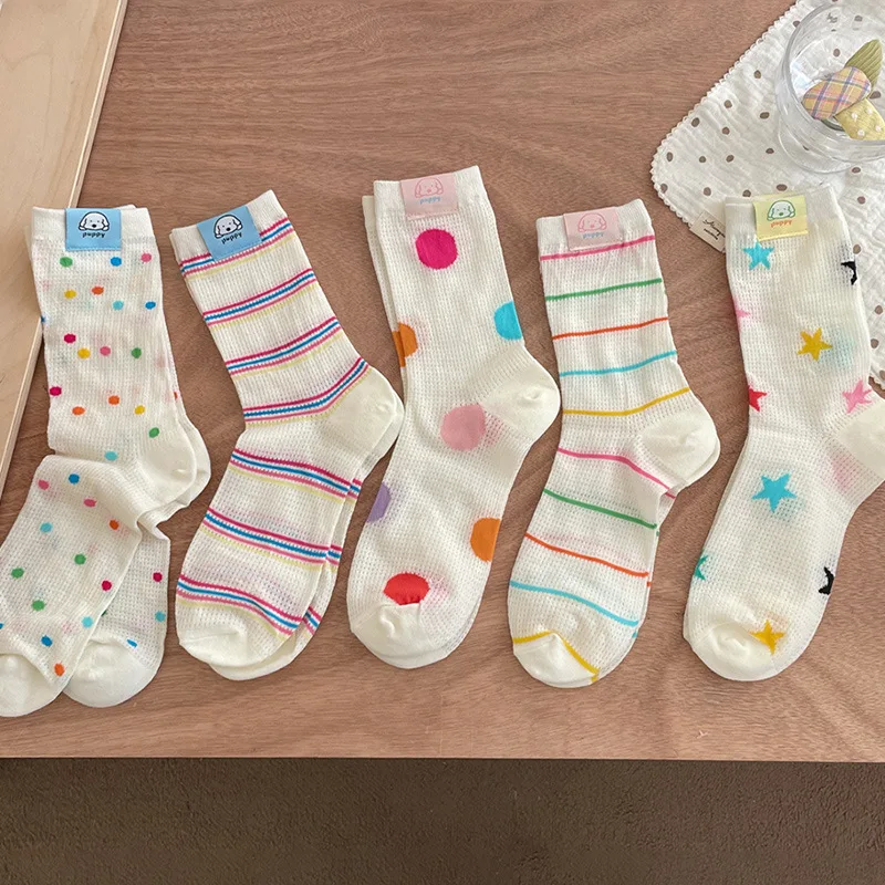 5 Pairs Women's Socks Set Colorful Stripe Polka Dot Dopamine Cute Kawaii Fashion Versatile Breath Mesh Socks For Girl Wholesale