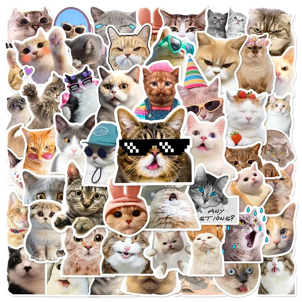 Gato bonito Meme Animais Adesivos, Decalques DIY, geladeira, telefone, mala, laptop, notebook, carro, parede, Graffiti Adesivo, presente engraçado, 50pcs por saco