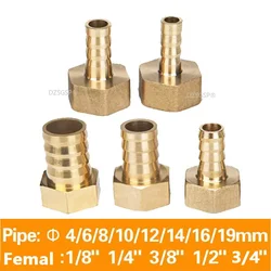 Ajuste de manguera de latón, rosca hembra BSP, Conector de cobre, adaptador de acoplador de junta, 4mm, 6mm, 8mm, 10mm, 19mm, 1/8 