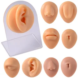 1Pcs Simulation 1:1 Soft Silicone Ear Nose Navel Nipple Model Practice Piercings Tools Jewelry Display Teaching Tool Accessories