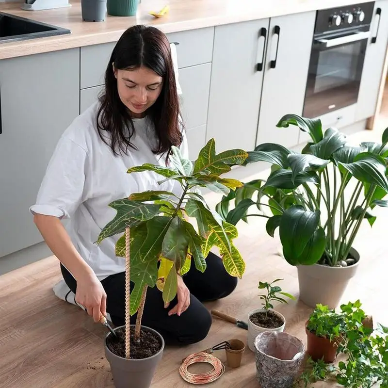 園芸植物用の電気文化ステークス、銅抵抗アンテナ、庭の植物と野菜の栽培ツール、工具付き、30cm、6個