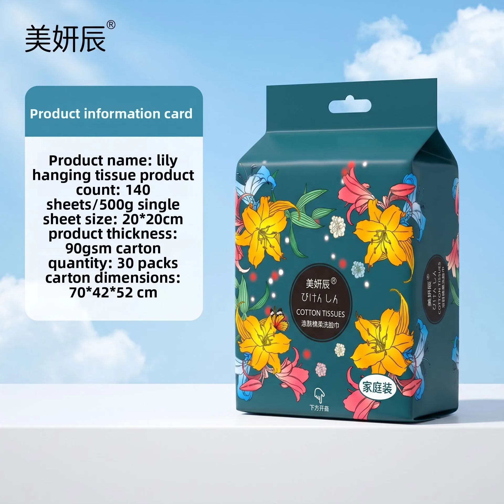 Disposable Pull-Out Facial Wipes—Extra-Large, Extra-Thick Cleansing Wipes, Generous Family Pack, Hanging-Style Soft Cotton Wipes