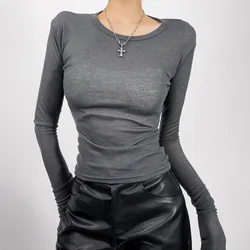 Women Crew Neck Fitted Long Sleeve Semi Sheer T-shirt