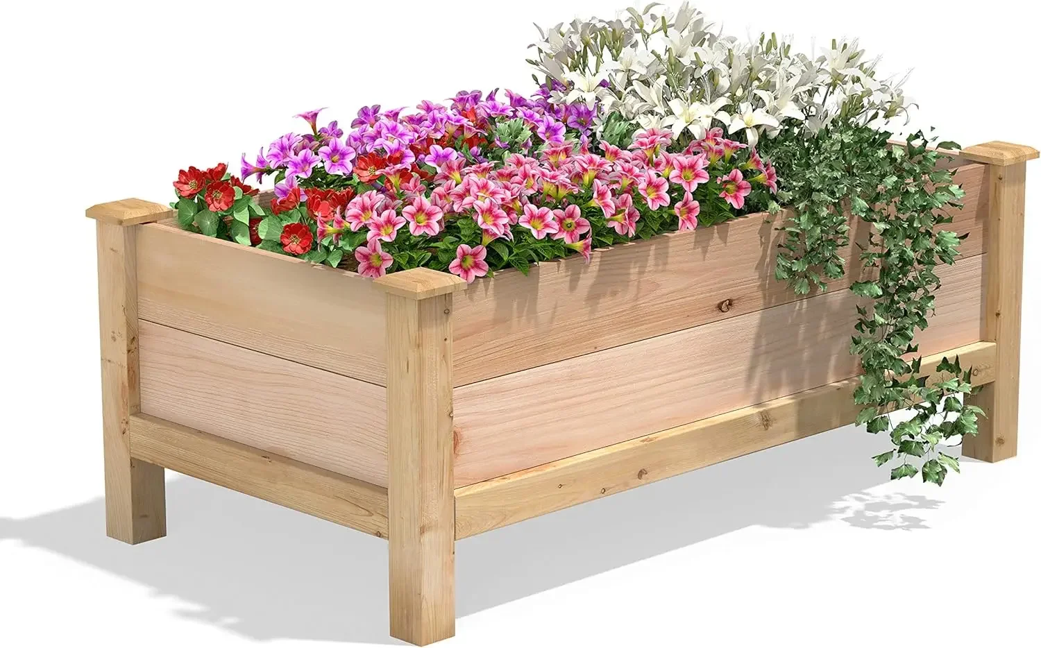 Elevated Garden Bed Premium Cedar Planter 24 x 48 x 19 Inches Made in USA with North American Cedar Untreated