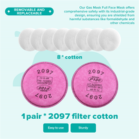 ABDR-Gas Mask Full Face Mask Protective Mask Formaldehyde Filter Protective Mask 6800 Chemical Decoration