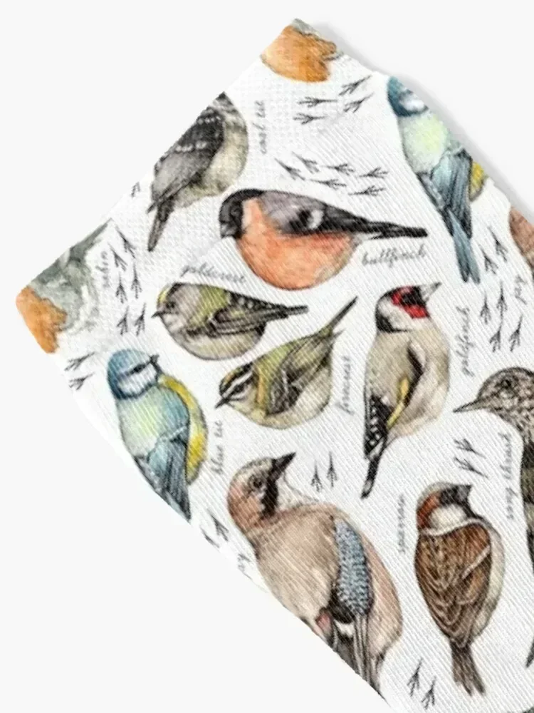 British Birds Socks anti slip football snow gym FASHION Socks Man Women's