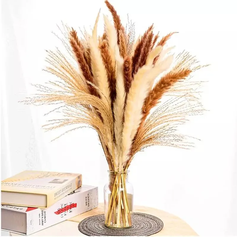 

80Pcs/Lot Pampas Grass Set Fluffy Natural Living Room Decoration Dried Flowers Pantas Artificiales Para Bouquet Boho Home Decor