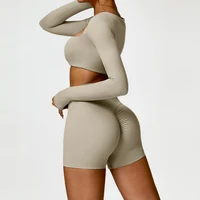 Summer 2PCS Yoga Suit Sports Set Women Quick-Dry Gym Set Women Tracksuit Running Workout Long Sleeve Sports Shirt Yoga Clothing - Image 4