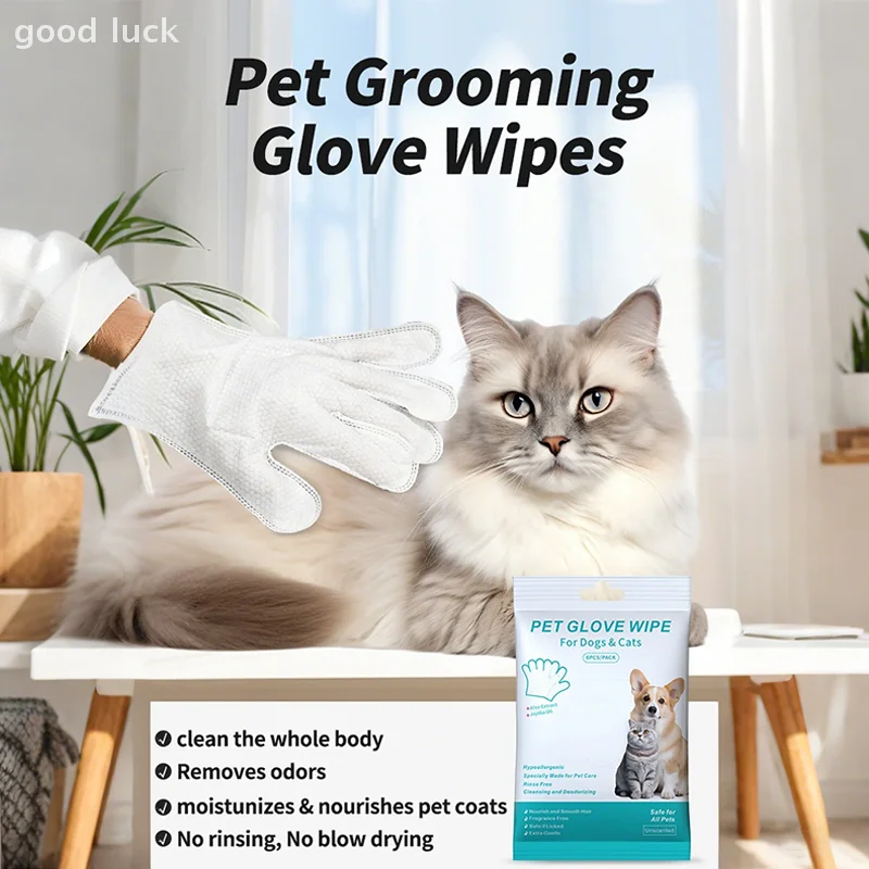Daily Care Cat สุนัขถุงมือทิ้งสัตว์เลี้ยงล้างฟรีถุงมือไม่มีล้างถุงมือซักผ้า Deodorizing แห้งทําความสะอาดผ้าขนหนูเปียกอุปกรณ์สําหรับสัตว์เลี้ยง