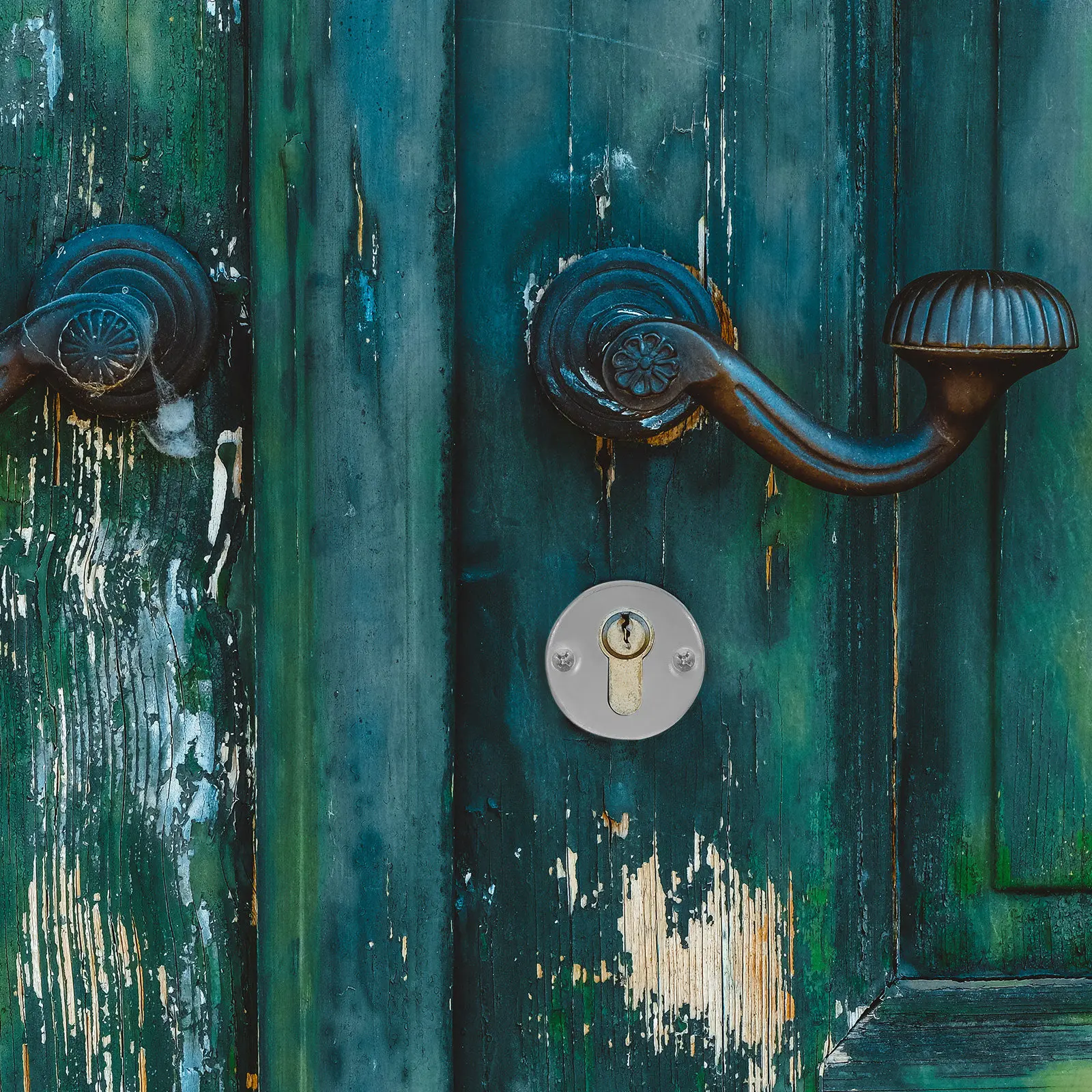 

Пара съемных накладок на дверной замок из нержавеющей стали с матовой текстурой, защита от ржавчины, серебристые винты для замка