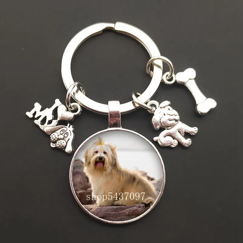 Cute animal beagle mops pies szkło cabochon pudel teddy art picture szklana kopuła ręcznie robiona biżuteria DIY breloczek