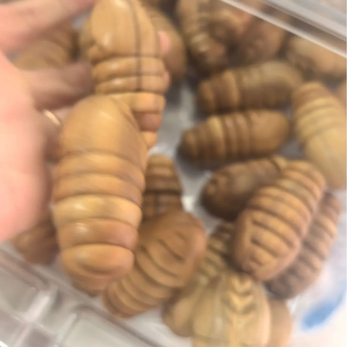 Cypress Wood Cicada Pupa Hand Piece Rotatable Tail Design Men Hand Play Golden Green Sandalwood Wood Carving Wenwan Ornament