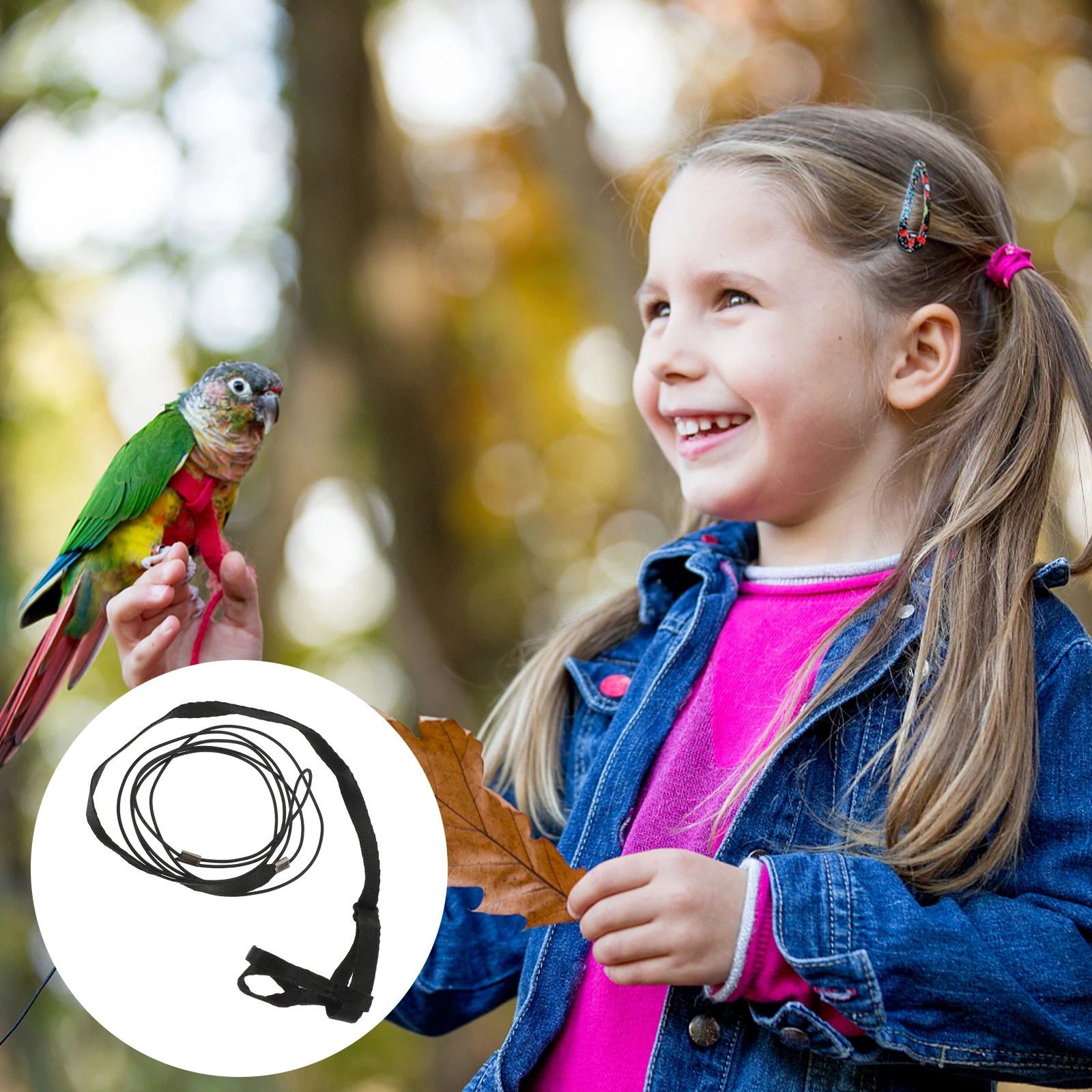 

Pet Traction Strap Parrot Harness Leash Bird Cage Accessories Birds Collars King