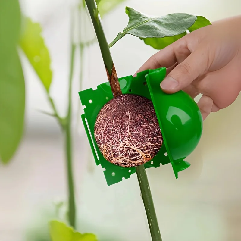 10pcs Tree Root Growing Box, Rooting Ball Grafting Tools, High Pressure Plant Propagation, Air Layering Pods