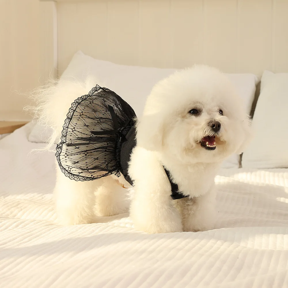 Luxury Pet Princess Tutu Dress Wedding Lace Party Gown & Birthday Outfit for Small Dogs Teddy Cats  Spring/Summer Collection