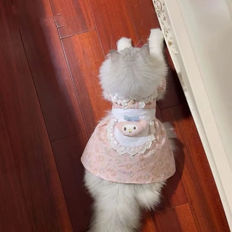 Vestido Sanrio super fofo para animais, roupas de gato, vestido para cachorro, melodia suave, instagram, primavera, verão