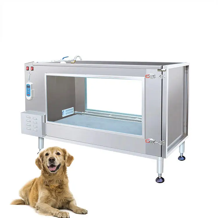Fitness Treadmill for Dogs Dog Treadmill Walking Machine Pet Exercise Treadmill
