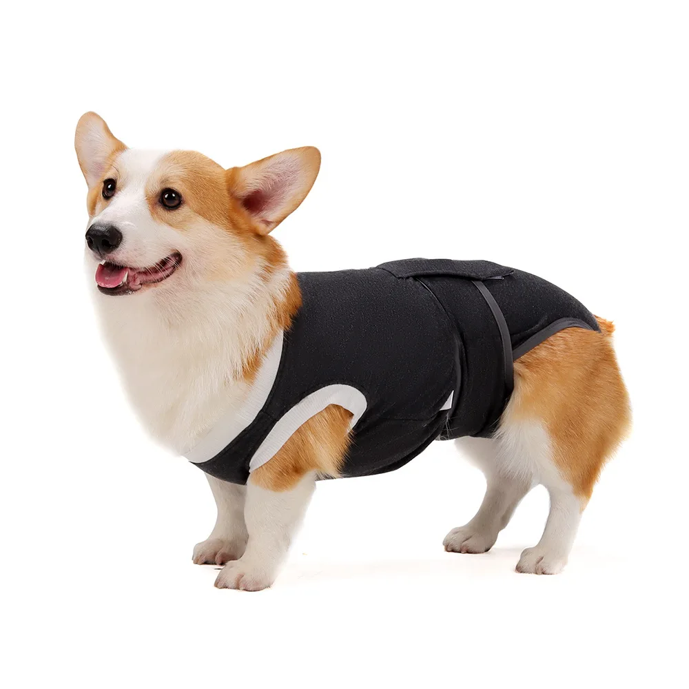 Dog sterilization suit, pet post-operative recovery onesie, anti-licking, for small and medium-sized dogs Pet sanitary pants