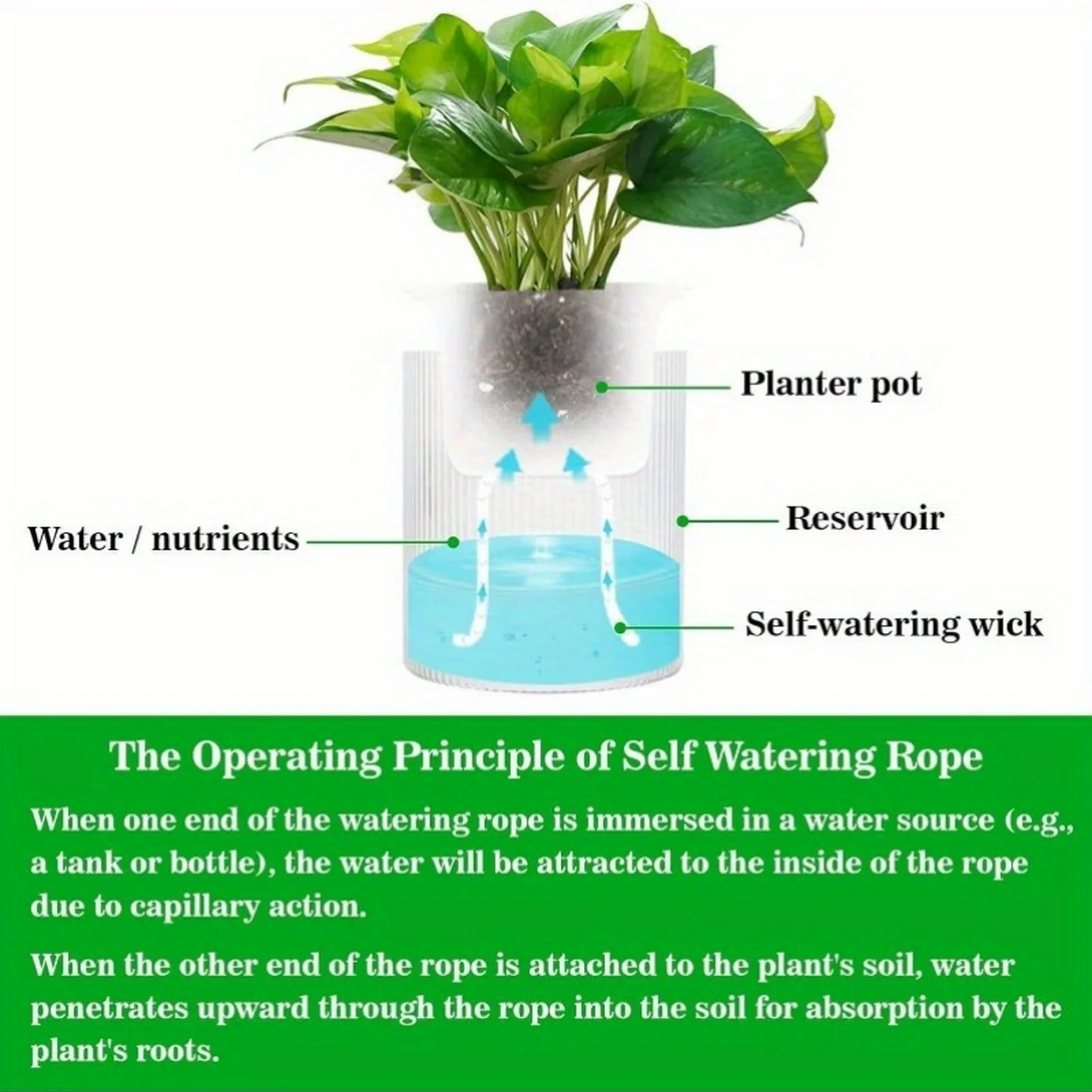 Self Watering Wick Cord 1 Meter DIY Plant Automatic Watering Rope Device for Indoor Outdoor Garden System Device