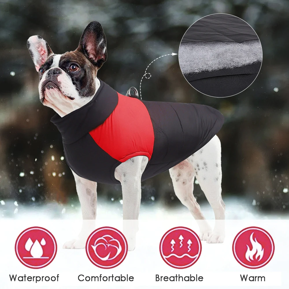 Inverno quente jaqueta impermeável para cães pequenos médios grandes roupas chihuahua colete labrador buldogue francês traje pet vestuário