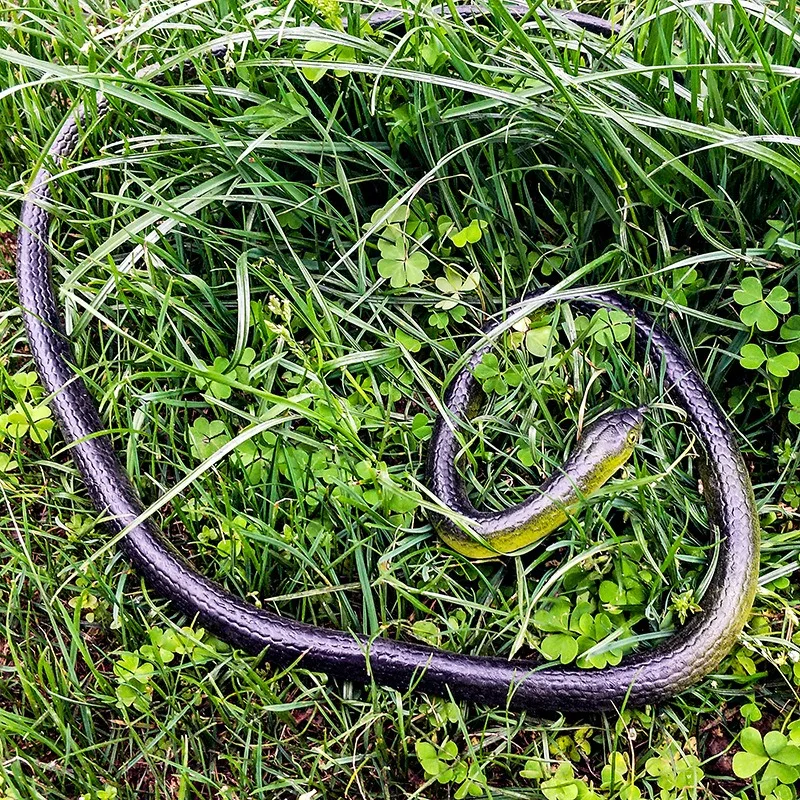 Giocattolo di gomma morbida serpente nero simulazione serpente realistico Halloween garden prank 80cm prop falso serpente spaventoso scherzo