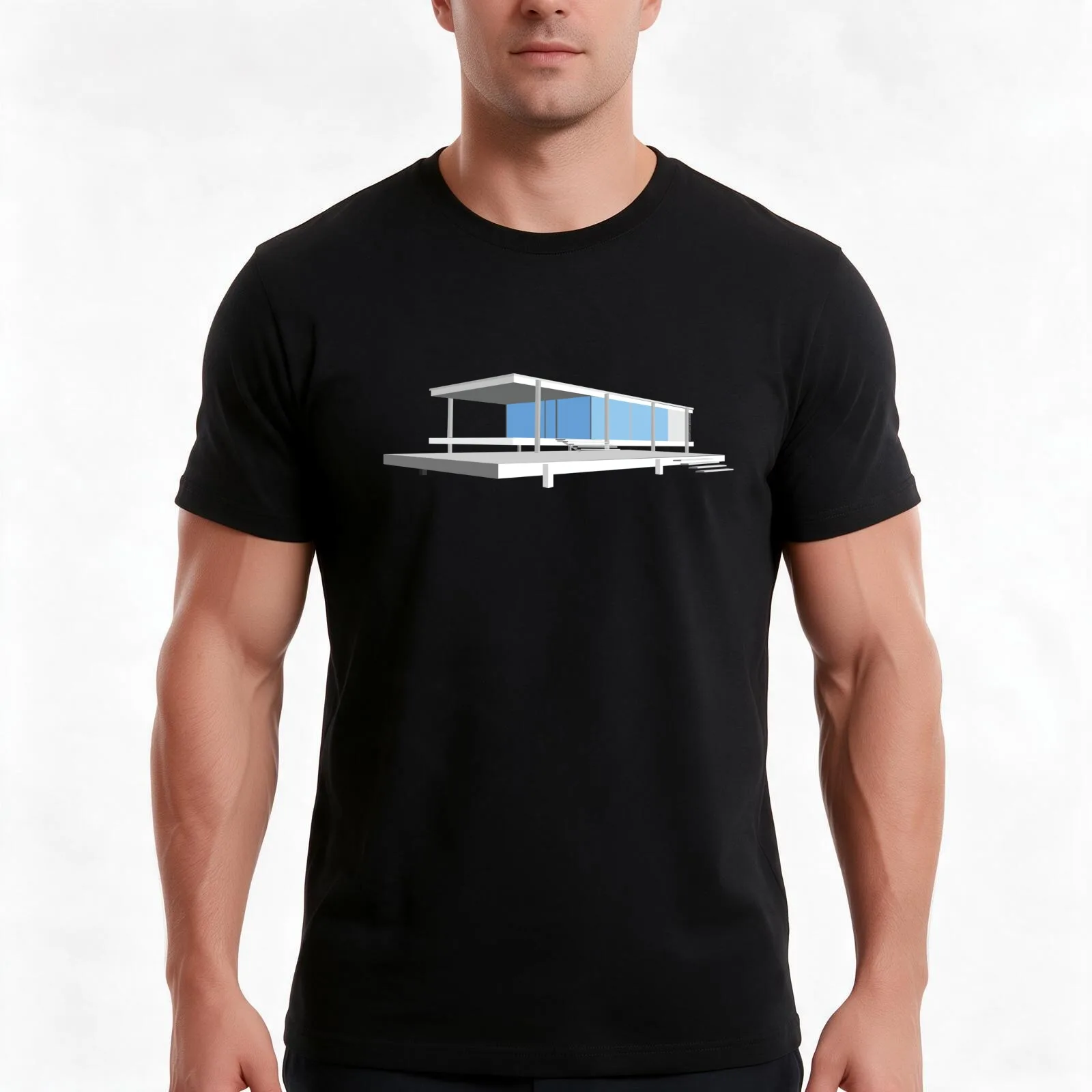 Farnsworth House - Ludwig Mies van der Rohe (1951) T-Shirt, Summer Casual Cotton Tee, Oversized Streetwear Tops, 100% Cotton