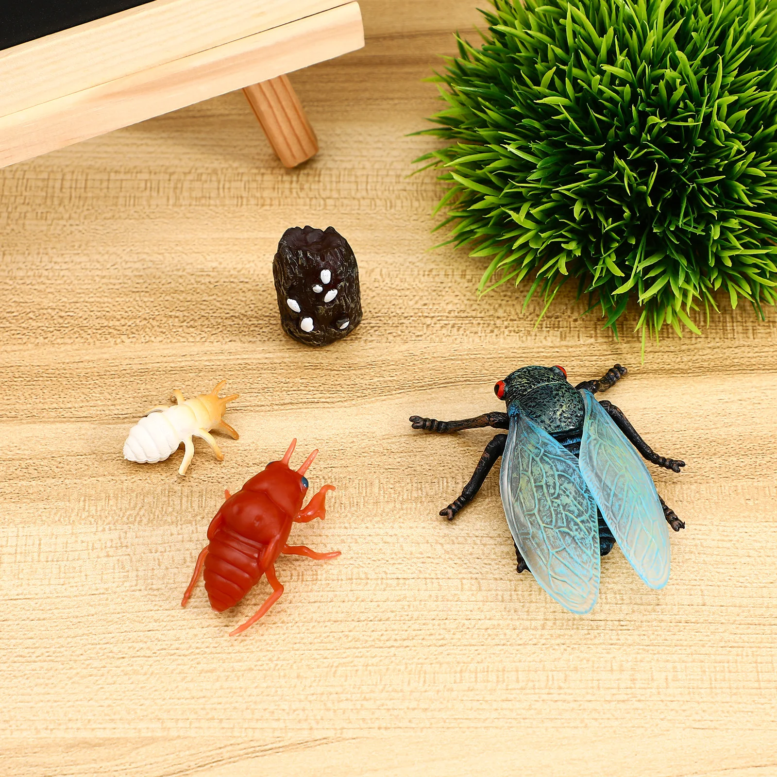 1 set 1 Set Cicada Life Cycle Realistic Insect For Kids Science Education Learning Micro Landscape Decor Fake Cicadas Simulation