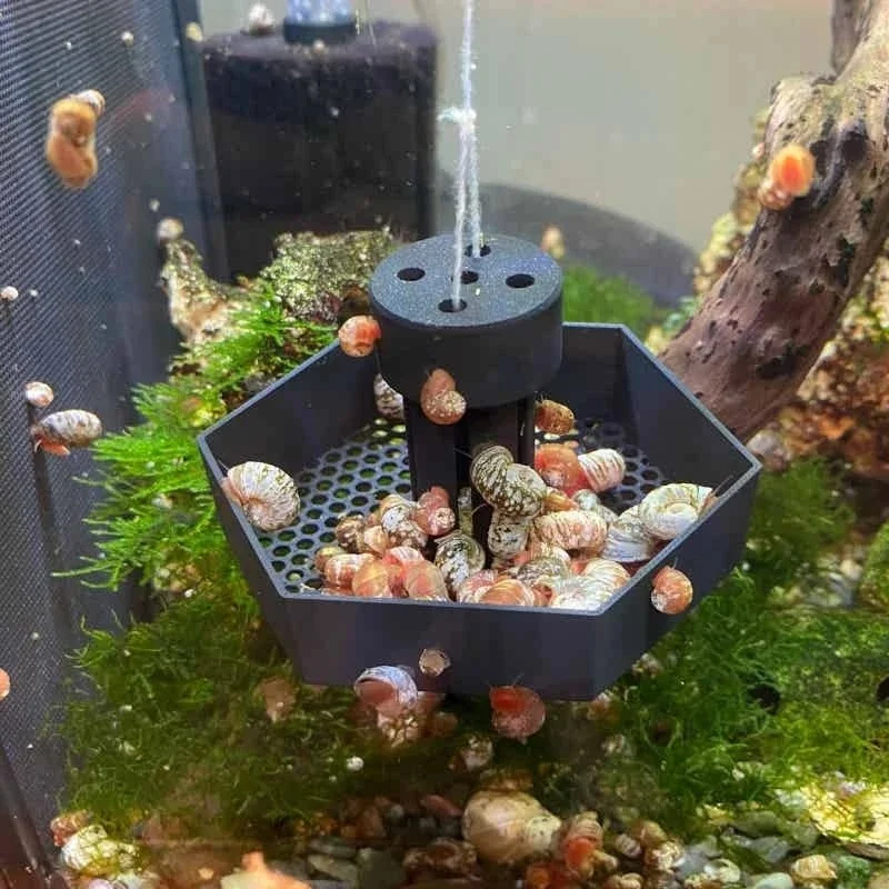 Aquarium Snail Catcher Hexagonal Fish Tank Pest Trap Shrimp Safe Aquatic Snail Removing Tool for Fish Tank