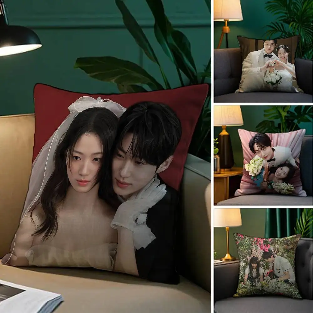 TV series L-Lovely R-RunnerS Pillow Case Anti-dustmite Pillowcase Invisible zipper silky short plush Sofa cushion cover