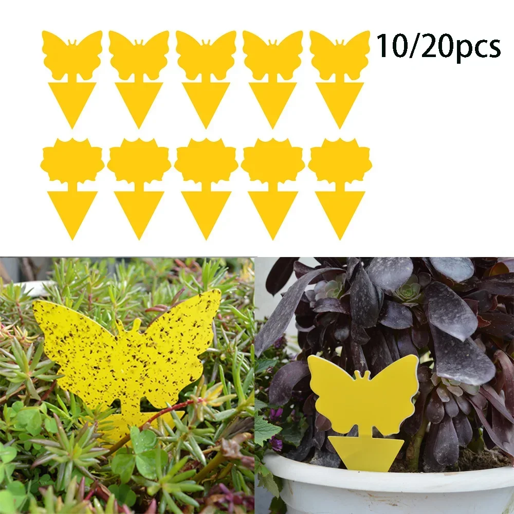 10/20pcs Sticky Traps Fruit Fly Gnat Trap Sticky Bug Trap Indoor Outdoor Flower Pot Insect Pest Control Garden Strong Glue Plant