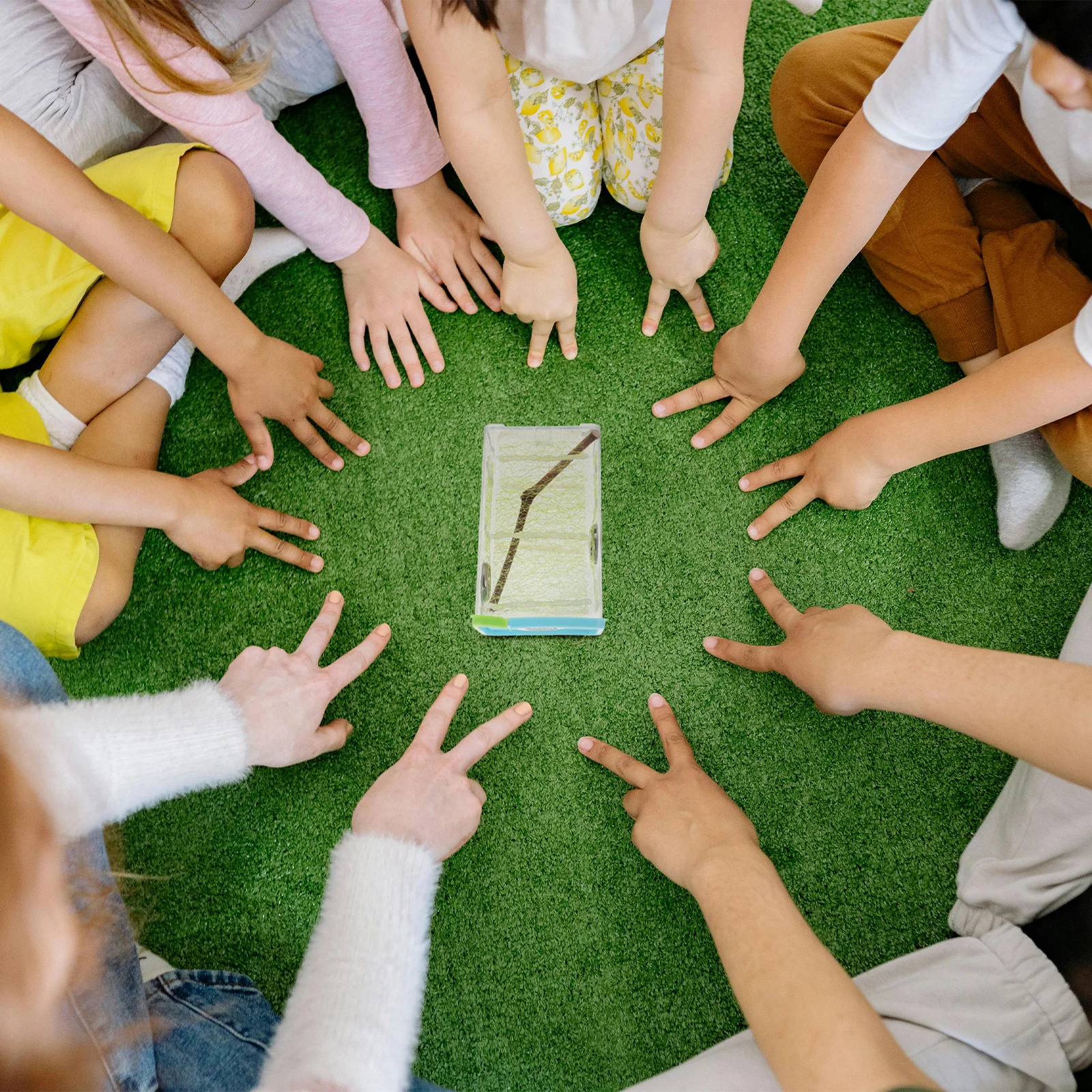 1Set Mantis Zucht Box Transparent Lebensraum Für Stick Insekten Starter Kit Reptil Terrarium Spinne Gehäuse Fütterung Container
