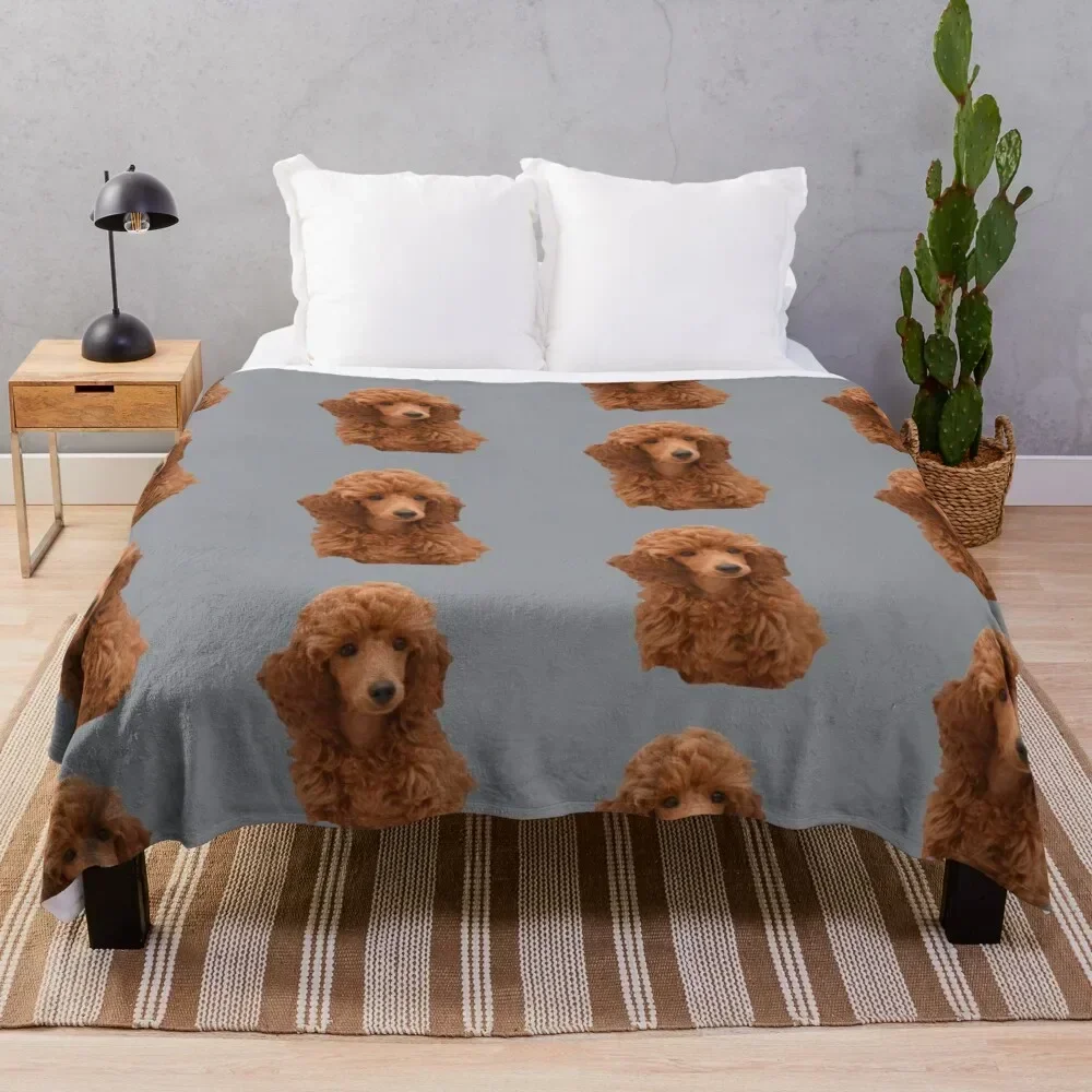 

Cute adorable red poodle puppy Throw Blanket Breathable Lightweight Blanket for Adults Kids