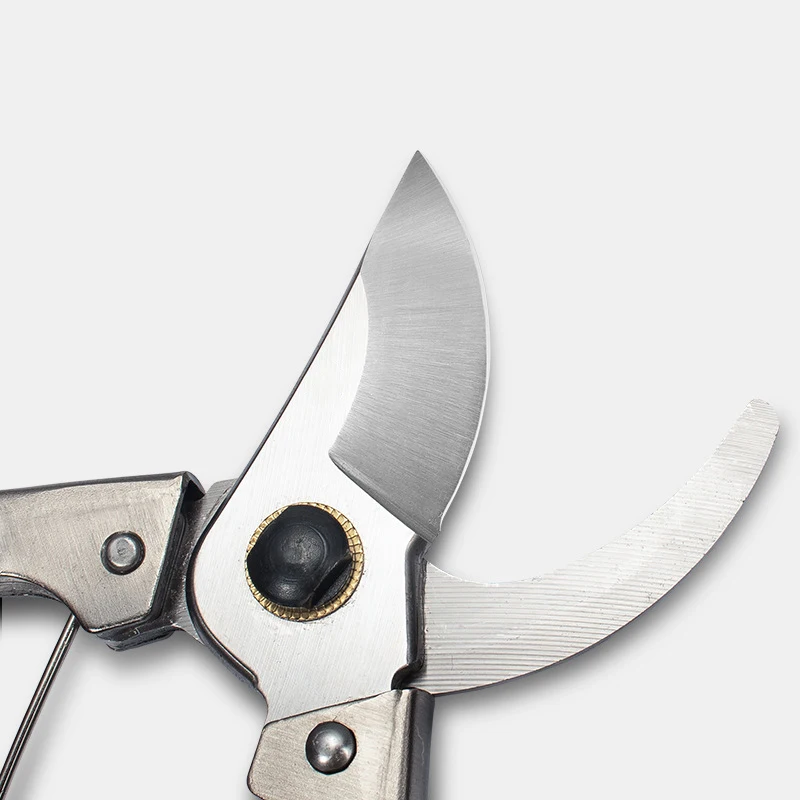 Cesoie da potatura per alberi pieghevoli con impugnatura morbida di grado industriale Cesoie e forbici da potatura Manico in plastica