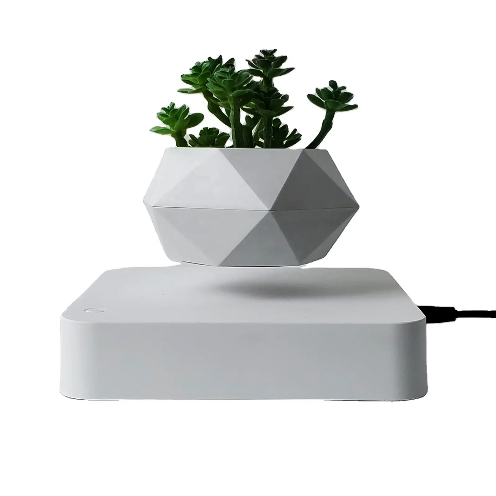 Floating Air Bonsai  Levitating Plant Flower Pot Floating Plant Home Decor Christmas Gifts Air Plants Planter