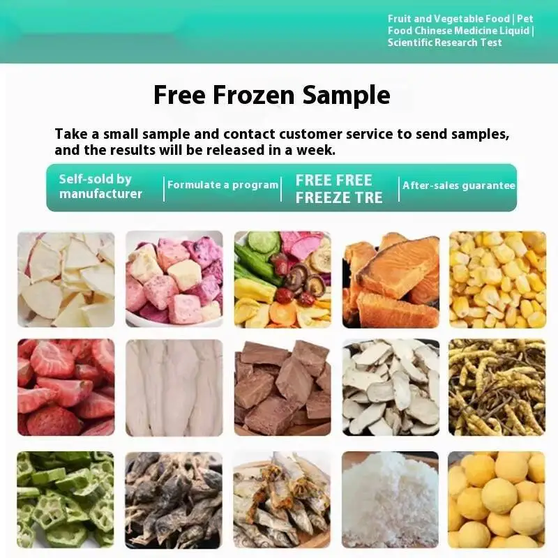

40M² Food Fruit Vegetable Tea Vacuum Large Commercial Pharmaceutical Health Products Freeze Dryer
