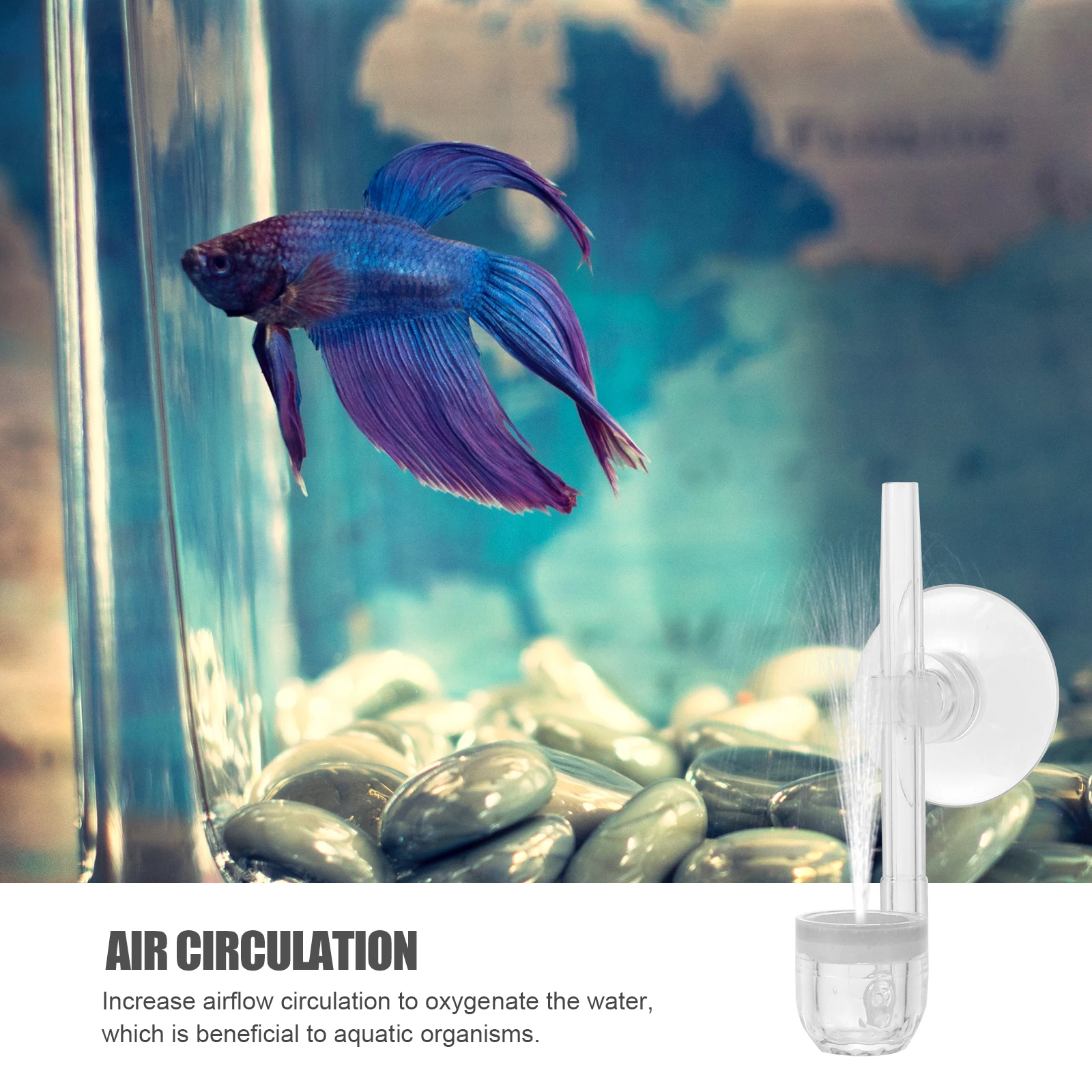 

Fish Tank Bubbler Tray Air Stone Diffuser Oxygen Pump Hydroponic Aquarium Supply Circulation System Practical Durable