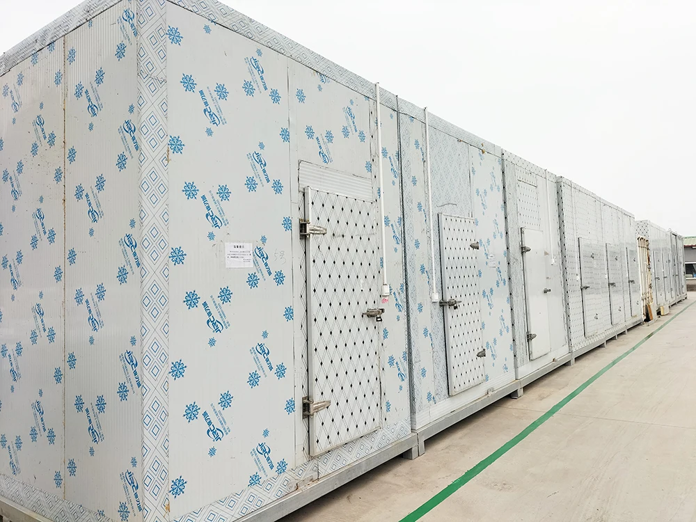 Frigorifero per ambienti personalizzato con congelatore 45c, sala di stoccaggio freddo da 20 piedi, 5 piedi x 5 piedi x 4 piedi, congelatore per ambienti freddi