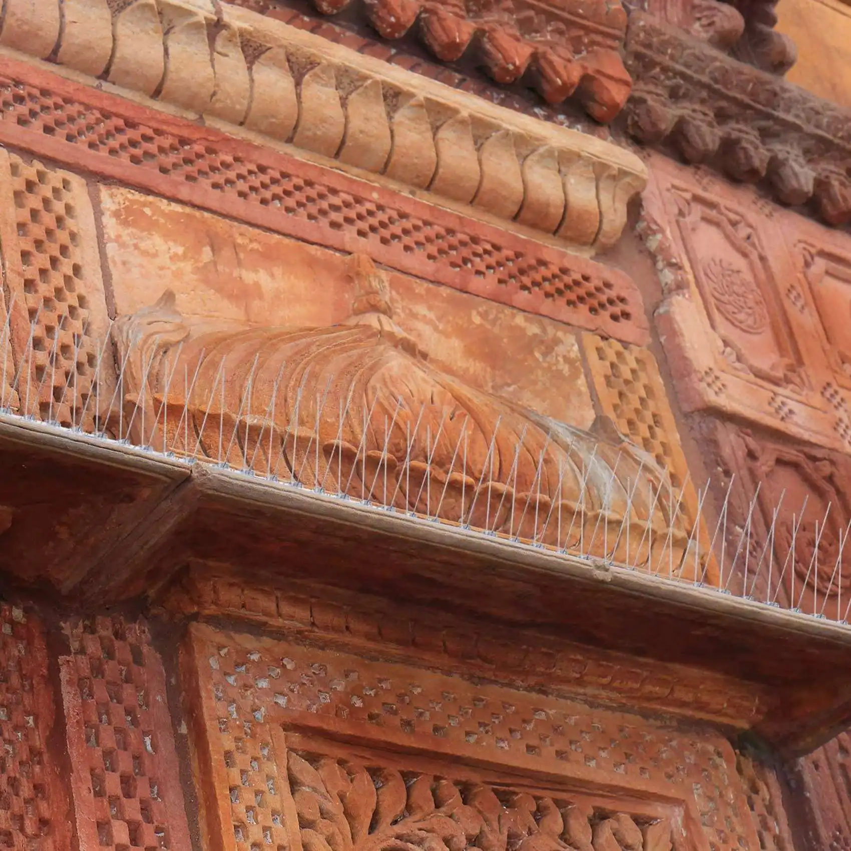 ab47-30-pezzi-di-dissuasori-per-uccelli-dissuasori-in-acciaio-inossidabile-per-recinzioni-ringhiere-pareti-tetti-e-giardini