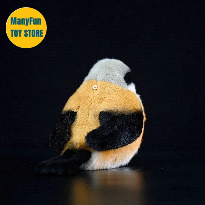 Shrike ألعاب من نسيج مخملي جزار الطيور بلوشي لانيوس شاتش Peluche موزو نابض بالحياة الطيور الحيوانات المحشوة محاكاة دمية لعبة أطفال