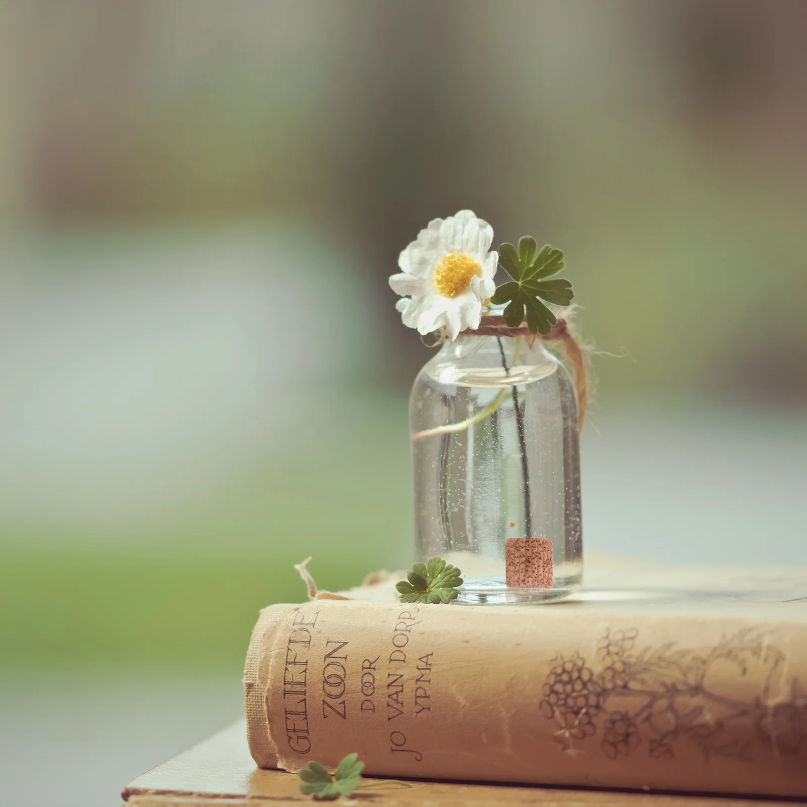 

20Pcs Water Plant Fixed Ring Pottery Durable Gravity Holder for Fish Tank Aquarium Landscape Decoration Plant Fixed Ring